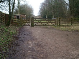 Image on trail